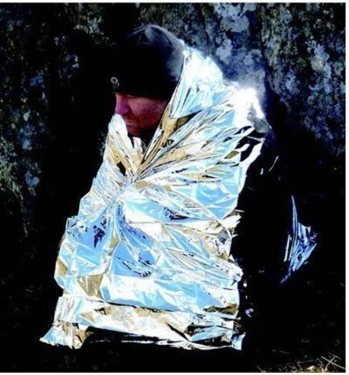 Couverture de Survie