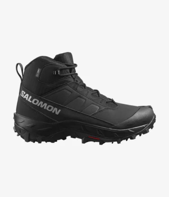 Chaussures Salomon Crosstrak WP