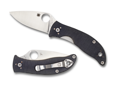 Couteau Spyderco Alcyone grey
