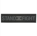 Stand and Fight 2 Amendement